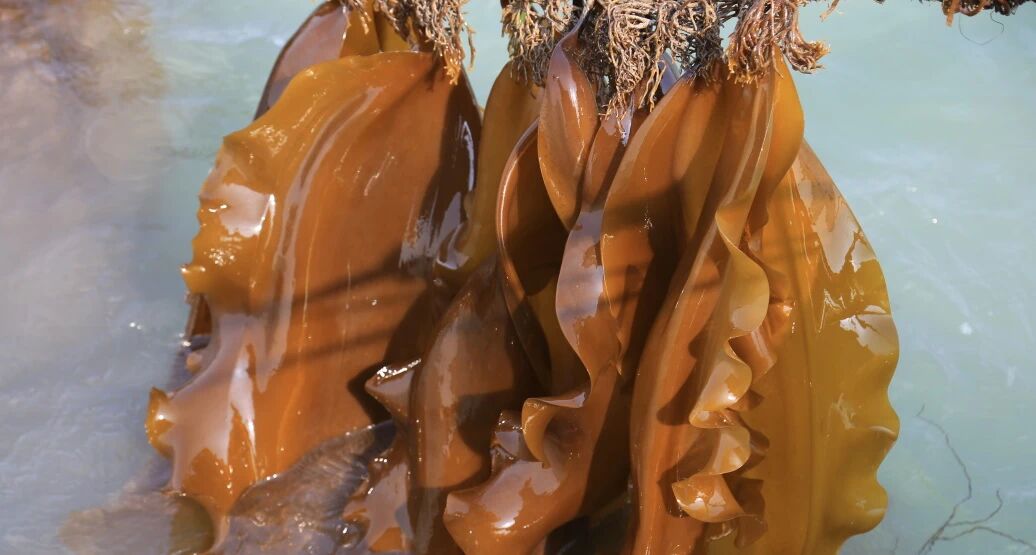 1762679261910304.jpg 微信图片_2025-11-09_170651_943.jpg