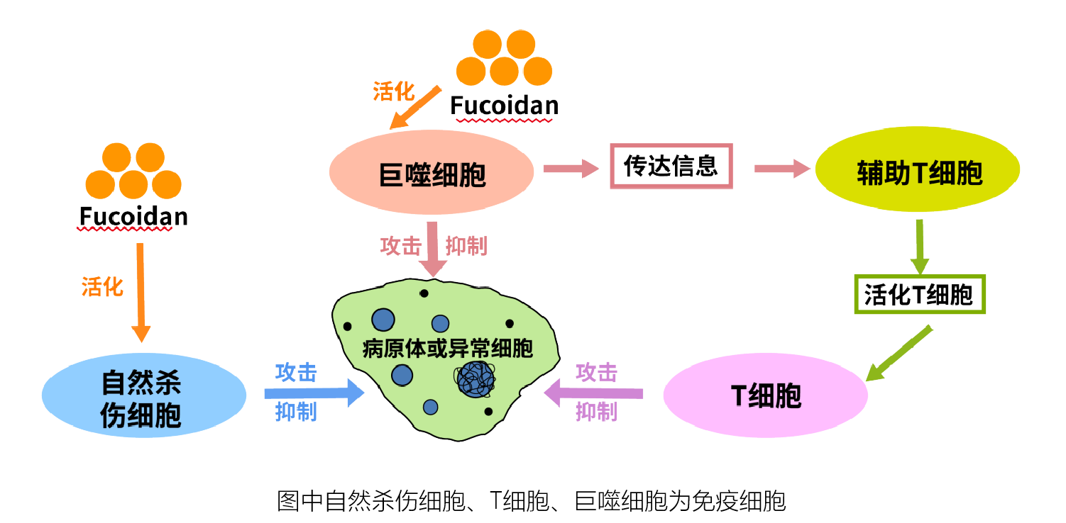 1762679324235149.png 微信图片_2025-11-09_170713_040.png