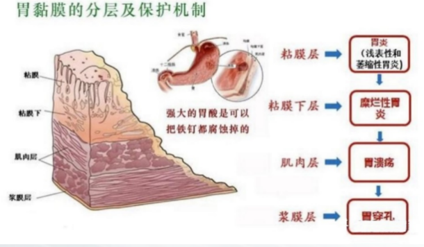 1762679760273680.png 微信图片_2025-11-09_171449_536.png